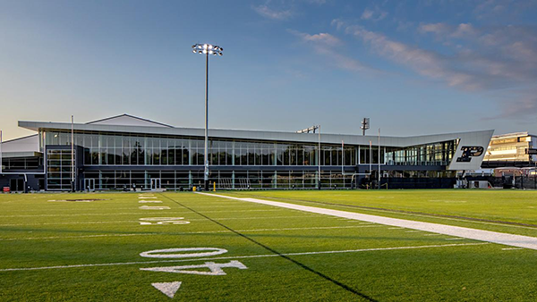 橄欖球場人造草坪