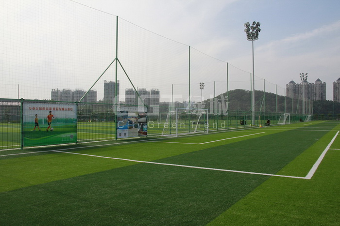 _MG_4978.JPG _MG_4978.JPG