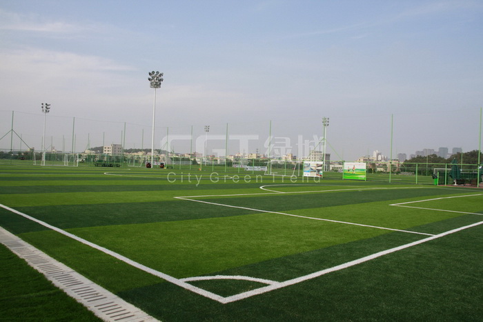 _MG_4992.JPG _MG_4992.JPG