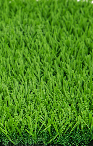 免填充型運動草系統