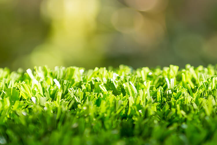 綠城“3P服務體系”