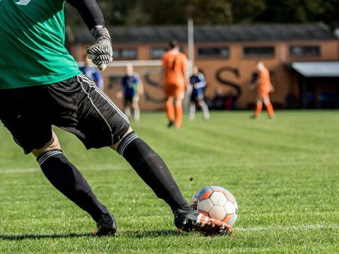 國際足聯(FIFA)人造草坪系統