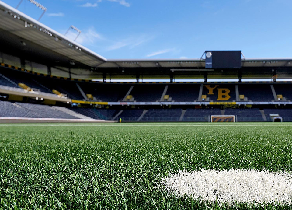 運(yùn)動用草坪解決方案