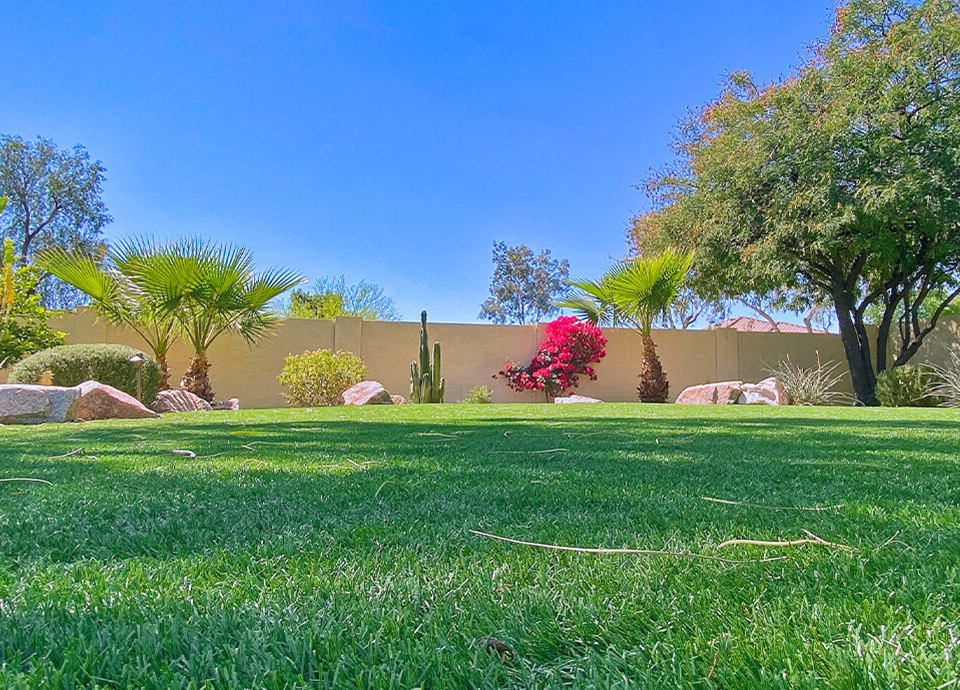 休閑用草坪解決方案