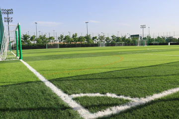 上海迪士尼樂園足球場