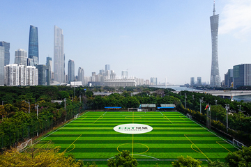 小蠻腰塔下二沙島人造草足球場