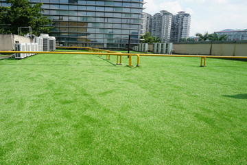 白云萬達廣場-工行樓頂人造草綠化