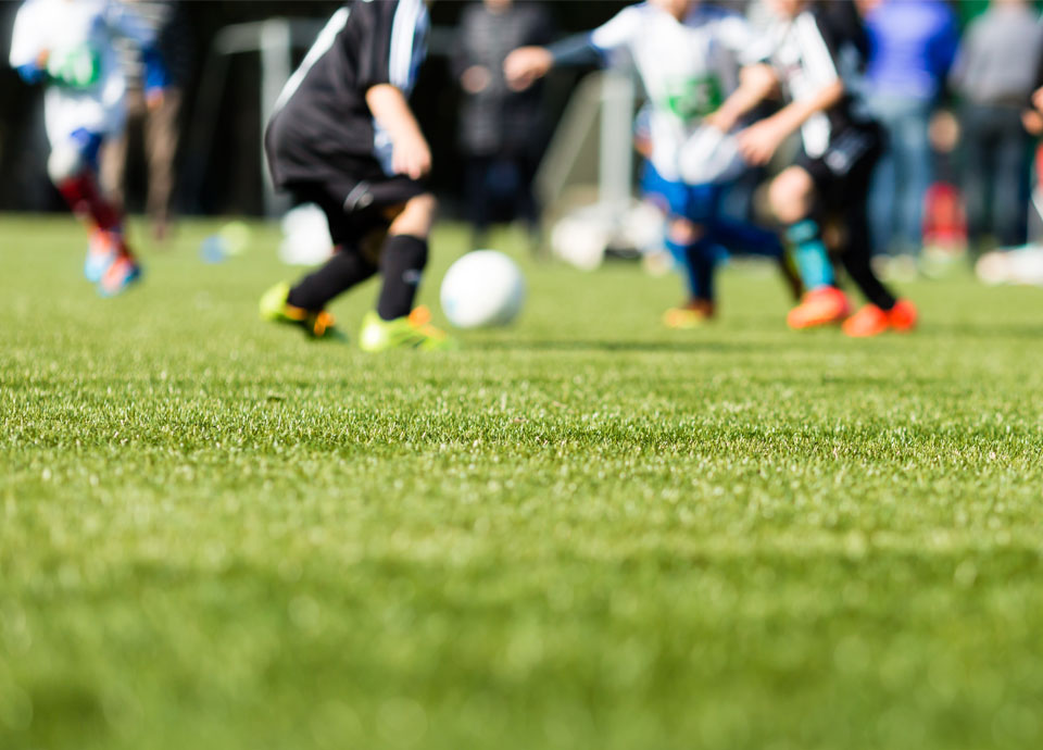 學(xué)校體育草坪解決方案