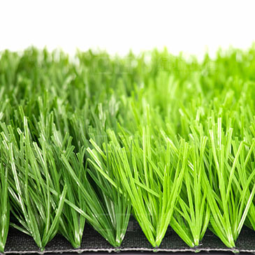 帶筋單絲-BH-8800D-6F-1