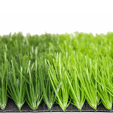 帶筋單絲-B-11000-6F-1