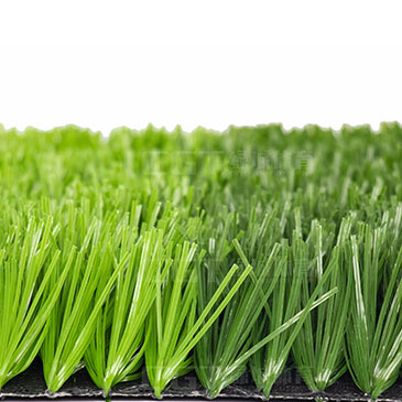 帶筋單絲-B-13000-6F-2