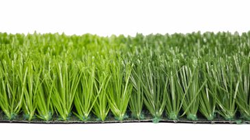 TCM.TT（賽爾隆TT）-10000D-6