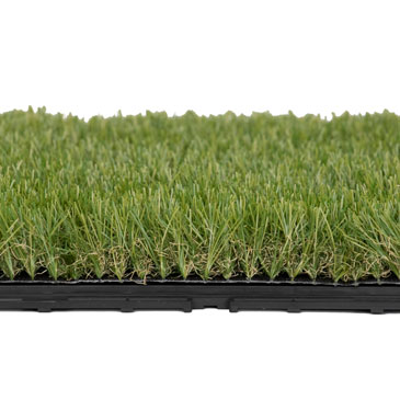 X2-小帶筋四色草-方形T扣