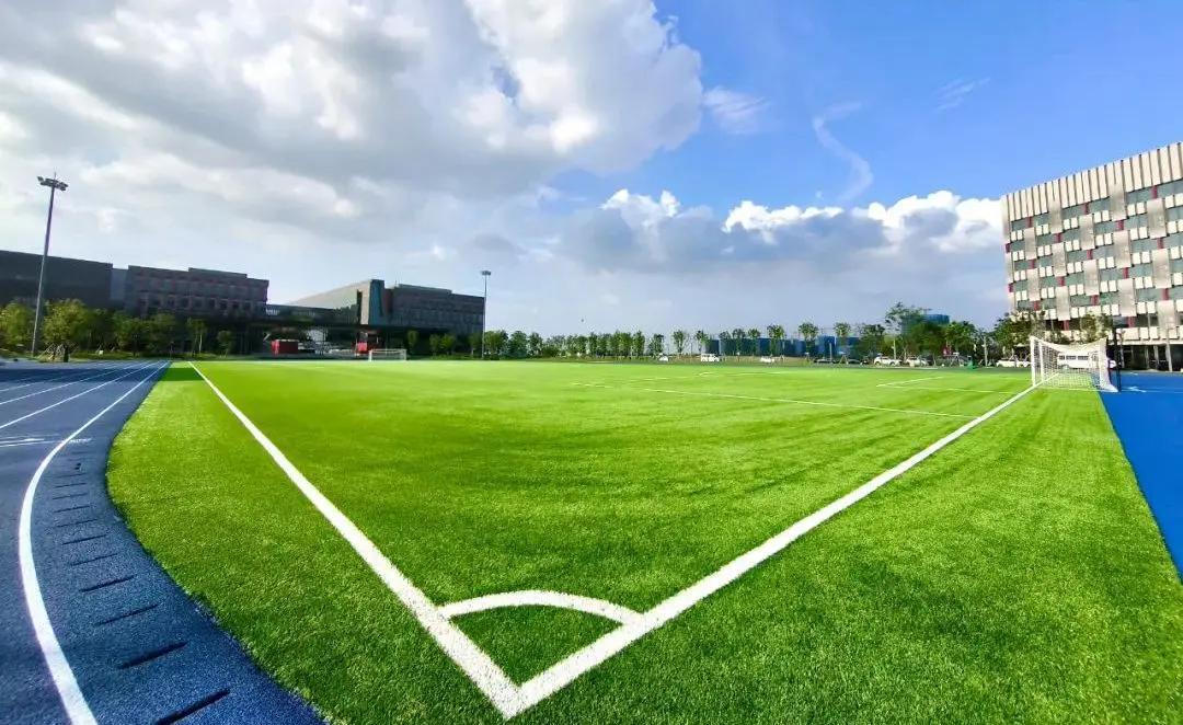 人造草到底是什么？一篇讀懂它的優(yōu)缺點(diǎn)與全部應(yīng)用場景